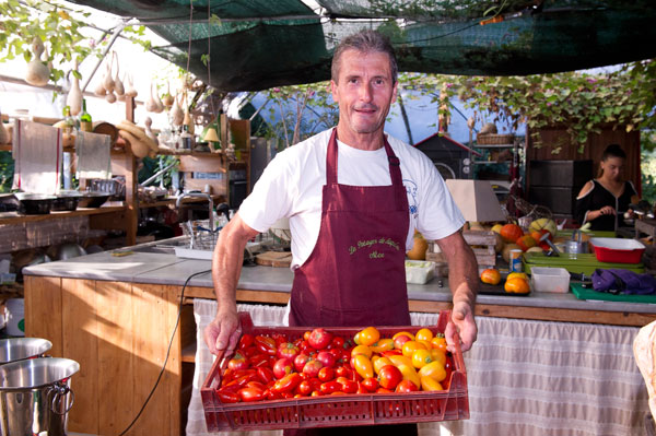 david faure potager de saquier