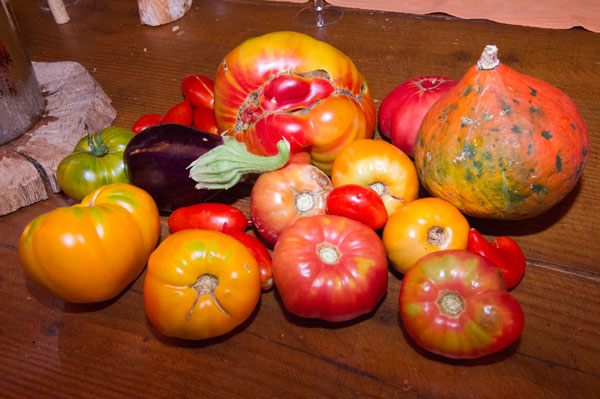 david faure potager de saquier