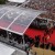 Festival de Cannes Red Carpet