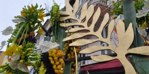 Suquet Fleuri