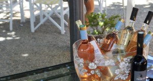amateur de rose petit fute
