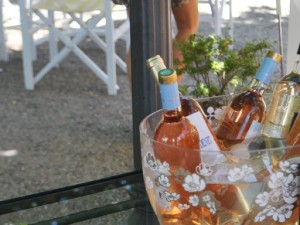 amateur de rose petit fute