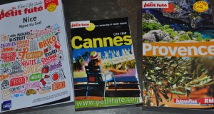 petit fute 2013