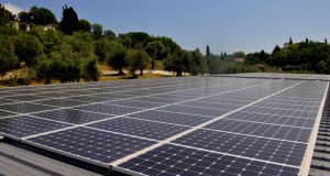 sicasil chateauneuf water plant