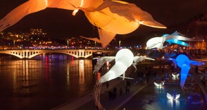 show les lumineoles nice