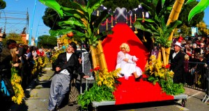 fete du mimosa 2014