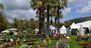 flore passion cannes