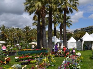 flore passion cannes
