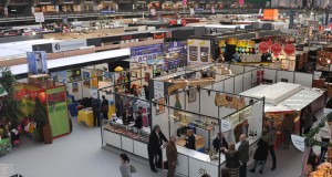foire internationale de nice 2014