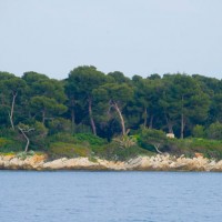 abbey lerins saint honorat wine cruise