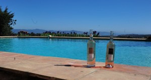 terres destel wines