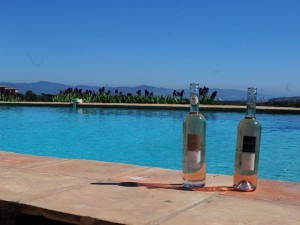 terres destel wines