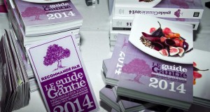 guide gantie 2014