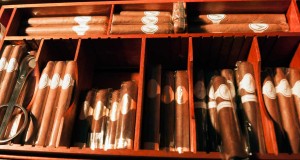 Davidoff tfwa we 2014