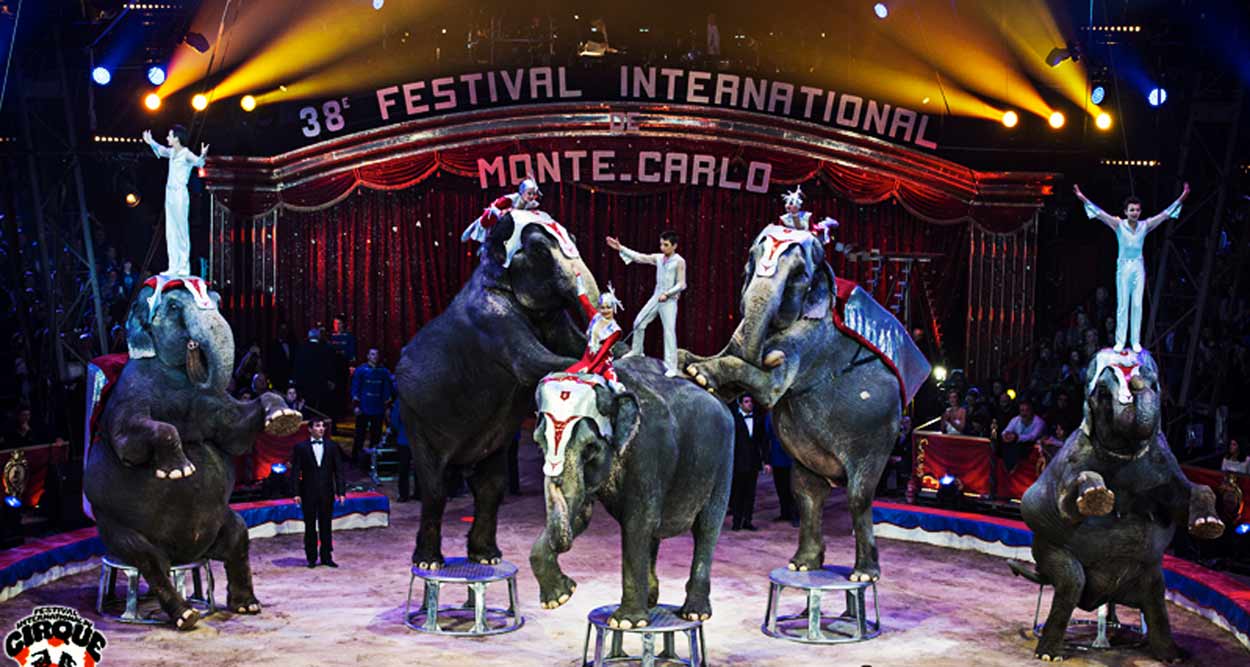 international circus festival monte carlo