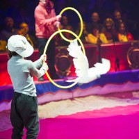 international circus festival of monte-carlo 2015