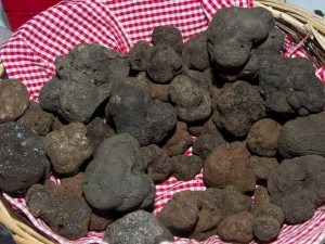 marché truffe 2016