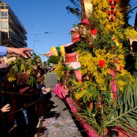 mandelieu fete mimosa 2015