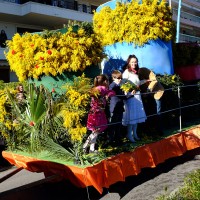 mandelieu fete mimosa 2015