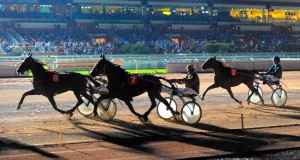 hippodrome cote azur