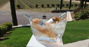 chateau vaudois