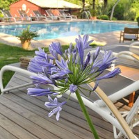 hotel cantemerle spa vence