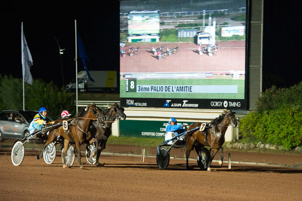 palio amitié 2015 hippodrome cote dazur