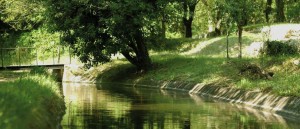 fete canal siagne 2015