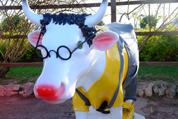 cow parade transhumance cannes