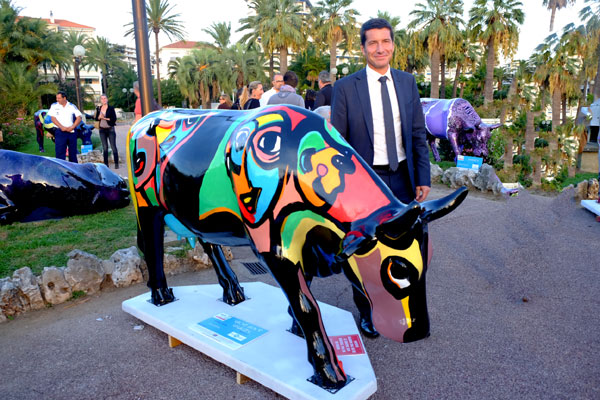 cow parade transhumance cannes