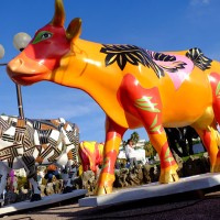 cow parade transhumance cannes