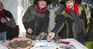 marche truffe 20 ans grasse