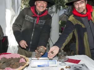 marche truffe 20 ans grasse