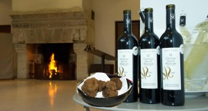 chateau sainte roseline journee truffe 2016