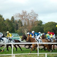 hippodrome cote d azur