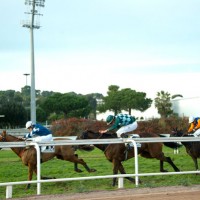 hippodrome cote d azur