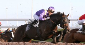 journée obstacle hippodrome cote azur
