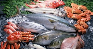 kermesse aux poissons 2016 theoule