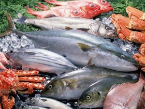 kermesse aux poissons 2016 theoule