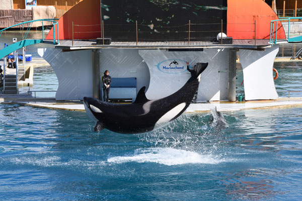 marineland 2016