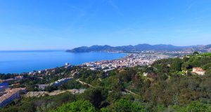 cannes version nature
