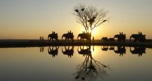 camp jabulani relais chateaux