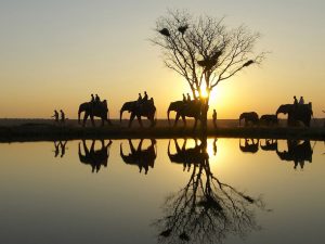 camp jabulani relais chateaux