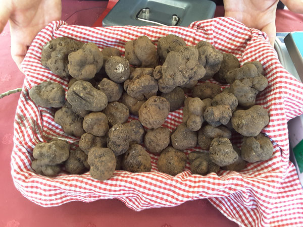 21eme marché de la truffe jacques chibois