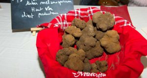journee truffe chateau sainte roseline 2017