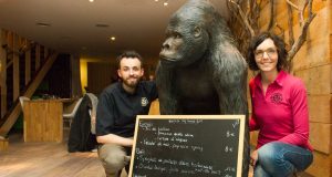 vegan gorilla nice
