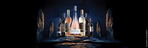 domaine du dragon draguignan