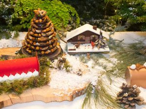pascal lac buches de noel 2017