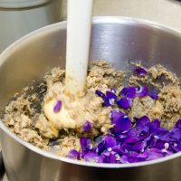 yves terrillon la cuisine des fleurs violette