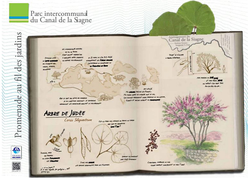 canal siagne jardins